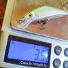 GoFishing Archy 50s - Image 3