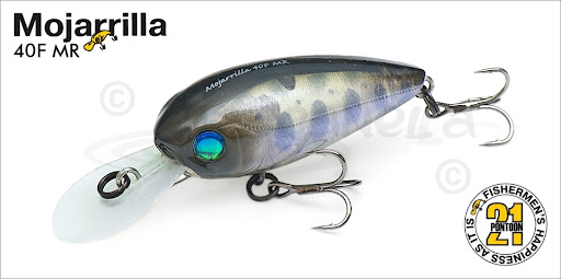 Pontoon 21 Mojarrilla 40f