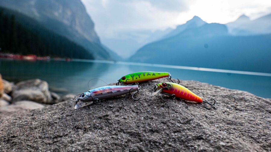 Hard Baits